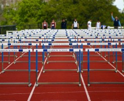 Hurdle