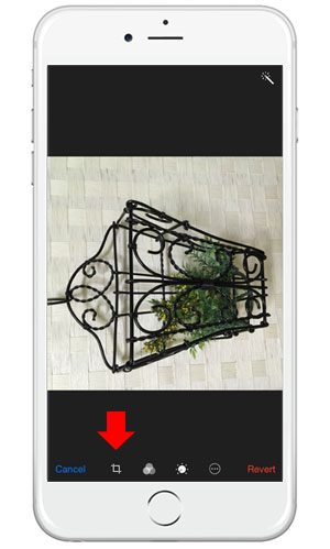 iPhone06