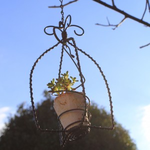 そよ風に揺れるバードゲージ風 flower pot